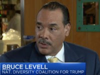 Trump Diversity Coalition Head: Bannon Was ‘Catalyst’ for Trump’s Voter Outreach to African-Americans, Hispanics