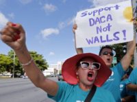 14 Things the MSM Won’t Tell You About DACA