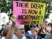 Amnesty: Democrats’ Dream Act Would Kill Donald Trump’s RAISE Act