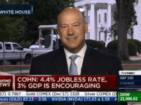 Cohn Dodges on Possible Departure From White House — ‘I Have a Great Relationship With the President’