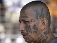 House Passes Bill to Deport Suspected MS-13 Gang Members