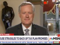 Meadows: I Won’t Rule Out Raising Taxes on Wealthy to Partially Pay for Tax Cuts