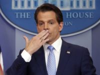 Anthony Scaramucci-Linked Twitter Account Posts, Then Deletes Holocaust Poll