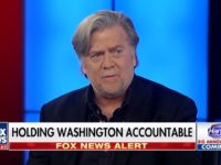 Bannon on 2018: ‘Nobody’s Safe — We Are Coming After All of Them and We Are Going to Win’