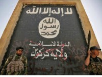 Al-Qaeda Ready to Gain as Islamic State Disintegrates