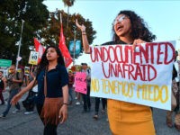 Poll: DACA Amnesty a ‘Top Priority’ for Only 23 Percent of Swing-Voters