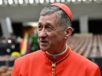 Cardinal Cupich: ‘It Would Be a Horrible Injustice’ Not to Give Amnesty to DACA Illegal Aliens at Americans’ Expense