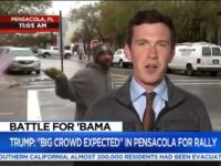 Watch: Roy Moore Supporter Trolls MSNBC Reporter During Live Shot