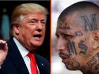 TRUMP: Deporting MS-13 is Cheaper than Jailing Them