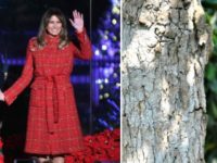 Fake News: Media Portray Removal of Decrepit White House Tree as Melania’s Fault