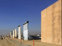 One Year of Trump: Border Wall Prototypes Sit in Desert As Border-Crossings Surge to Obama Levels