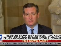 GOP Sen Cruz: ‘I Thought It Was a Very, Very Strong Speech and a Strong Night for the President’