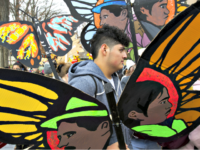 Study: Nearly 25 Percent of DACA Illegal Aliens Are ‘Functionally Illiterate’ in English