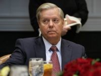 Graham: Tom Cotton Immigration Approach ‘Has No Viability,’ He Is the ‘Steve King of the Senate’