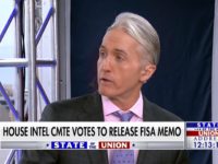 Trey Gowdy: FISA Memo Will Be ‘Embarrassing to Adam Schiff’