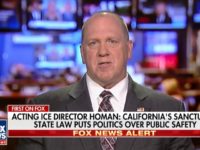 ICE Director Homan to DoJ: Make Sanctuary Cities Accountable — Charge Politicians With Crimes, Hold Back Funding