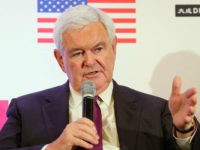 Gingrich: ‘Schumer Shutdown’ a ‘Major Mistake’ — Dems Pitted 700k Illegals Against Men, Women of U.S. Military