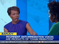 MSNBC’s Joy Reid: Tucker Carlson Putting Forward ‘a Pretty Blatantly White Nationalist View’ on Immigration