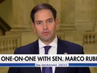 Rubio: ‘I Believe We Do Have to Build a Wall’