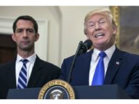 ‘Might as Well Roll It Straight Into the Trash Can’: Tom Cotton Shoots Down Expansive ‘Gang of Six’ DACA Amnesty