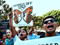 ‘We Are Outraged:’ Illegal Alien Activists Turn on Democrats After Amnesty-or-Shutdown Fail