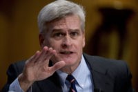 Sen. Bill Cassidy: Congress Should Hold Hearings on How FBI Botched Cruz Case