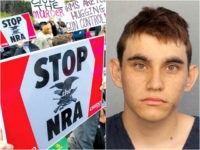 Associated Press Sees Florida Shooting Conspiracy: NRA –>JROTC –>Air Rifles –>Nikolas Cruz