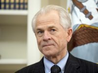 The Hill: Trade Adviser Peter Navarro Ascends in Trump White House