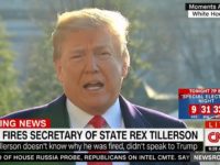 Trump: Tillerson and I ‘Were Not Really Thinking the Same’ – ‘Very Close to Having the Cabinet and Other Things That I Want’