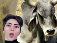 Report: Nasim Aghdam’s Brother Warned Police She ‘Might Do Something’