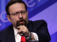 Protester Screams at Gorka Who Says ‘Their Fuel Is Hatred’