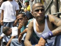 Ann Coulter: Caravan of Asylum Seekers Will Be ‘Shipped in and We’ll Get Another Round of MS-13’